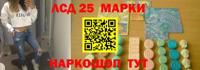 прущие грибы Будённовск