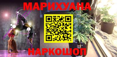 прущие грибы Будённовск