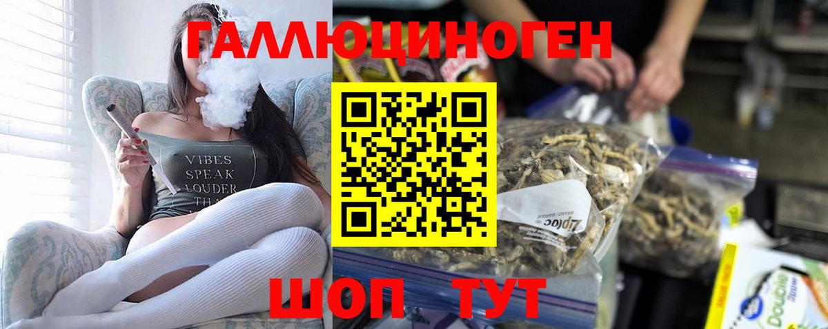 Галлюциногенные грибы прущие грибы  Галлюциногенные грибы ЛСД  Вход с VPN  Заволжье 