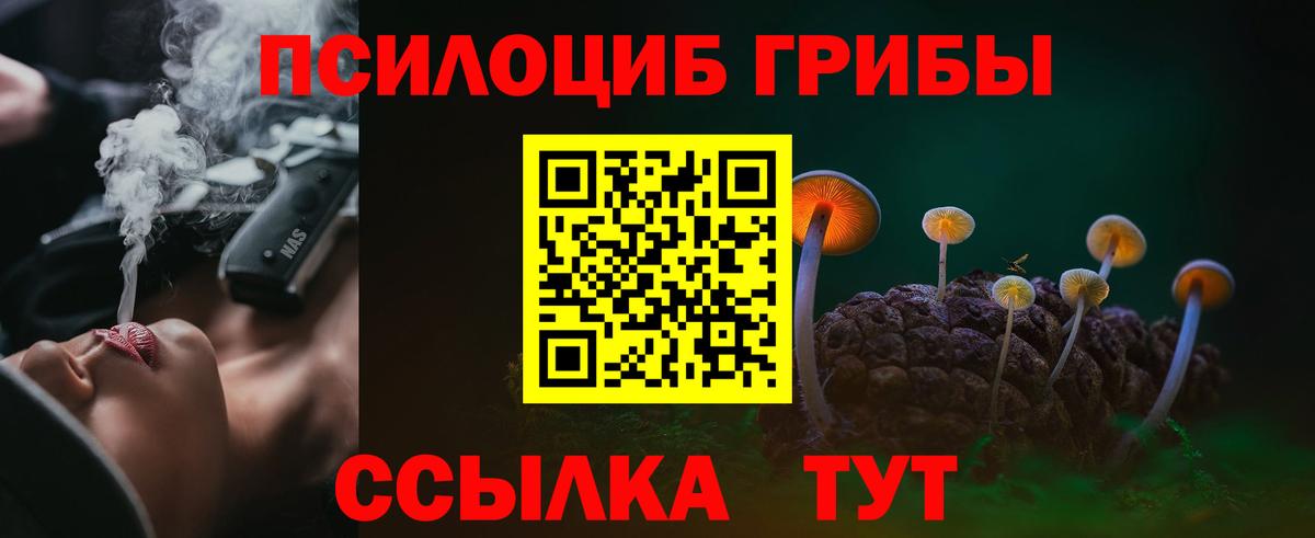 Псилоцибиновые грибы GOLDEN TEACHER Заволжье