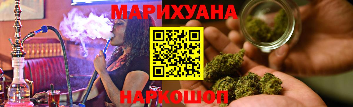Конопля гибрид Заволжье